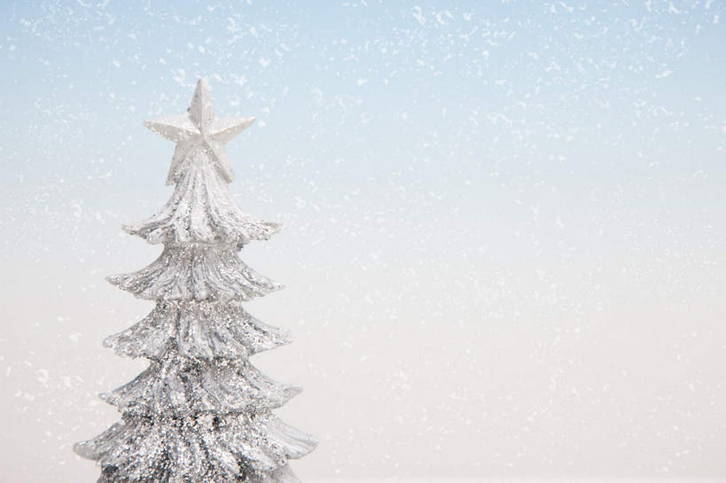 无人,横图,室外,特写,白天,正面,雪,植物,大雪,松树,圣诞节,节日,庆祝,装饰,积雪,雪景,星星,冬季,冬天,圣诞树,文化,树,树木,绿色,自然,庆典,星形,寒冷,生长,成长,纪念,华丽,修饰,点缀,坚定,五角形,衬托,美观,雅致,雅观,长寿,严寒,贞洁,五角星,彩图