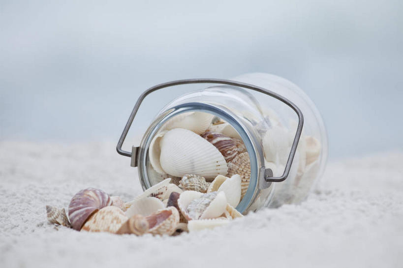 无人,横图,俯视,室外,特写,白天,海浪,海洋,美景,沙滩,贝壳,玻璃,一堆,许多,堆叠,堆积,朦胧,模糊,沙子,海岸,景观,浪花,沙地,很多,玻璃制品,一个,自然,海水,玻璃瓶,瓶子,景色,单个,堆,自然风光,海景,广口瓶,贝类外壳,海螺壳,软体动物外壳,大海,风浪,海,海水的波动,海滩,近岸浪,涌浪,彩图,高角度拍摄