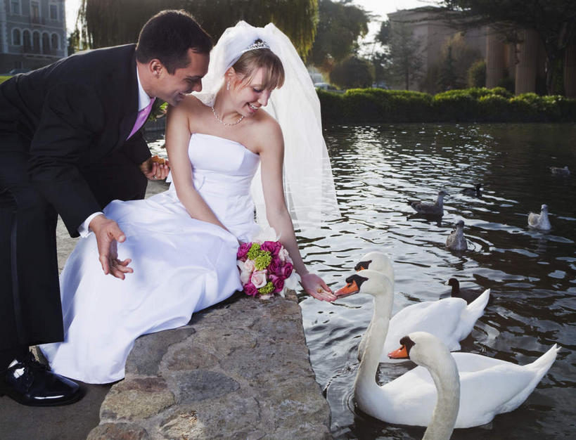 游泳,西方人,家庭,夫妻,新娘,新郎,坐,笑,微笑,露齿笑,横图,室外,白天,正面,婚纱,衬衫,西装,爱情,婚礼,快乐,幸福,纯洁,热情,河流,水,玫瑰,鸟,野生动物,天鹅,项链,欧洲,欧洲人,握,阴影,套装,头纱,正装,庆祝,盛开,光线,鸟类,捧花,手捧花,影子,河水,水流,玫瑰花,领带,结婚,浪漫,花蕾,注视,职业装,装饰品,花,花瓣,花朵,鲜花,阳光,动物,饰品,首饰,花束,花苞,花蕊,低头,观察,看,温暖,温馨,喜庆,一家人,恩爱,可爱,喂,握着,恋人,观看,纪念,和睦,察看,关注,感动,尊敬,泅水,拍浮,婚礼捧花,天真,刺玫花,徘徊花,男人,男性,年轻女性,女人,女性,中年男性,白种人,夫妇,情侣,鹄,坐着,半身,彩图,衬衣,婚礼服,礼服,高兴,婚礼头纱,伴侣,融洽