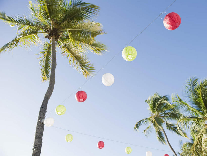 无人,横图,彩色,室外,白天,仰视,旅游,度假,美景,植物,棕榈树,叶子,照明,加勒比海,一排,许多,吊挂,悬挂,阴影,整齐,光线,灯笼,影子,纸灯笼,景观,绿叶,挂,娱乐,树,树木,排列,蓝色,绿色,蓝天,天空,阳光,自然,灯具,天,享受,休闲,嫩叶,景色,南美,放松,生长,晴朗,成长,照亮,南美洲,照明设备,拉丁美洲,队列,自然风光,美洲,棕榈叶,万里无云,英属维尔京群岛,英属维京群岛,维京群岛,亚美利加洲,南亚美利加洲,处女群岛,维尔京群岛,英属处女群岛,叶,叶片,晴空,晴空万里,彩图,低角度拍摄