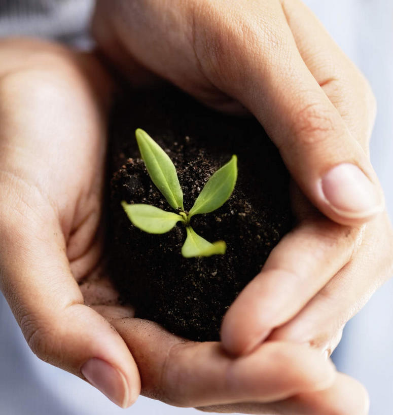 西方人,手,一个人,站,捧,竖图,俯视,室内,特写,白天,植物,欧洲,欧洲人,双手,仅一个年轻女性,仅一个女性,仅一个人,一堆,许多,阴影,堆叠,堆积,服装,朦胧,模糊,反射,影子,泥土,土壤,休闲装,衣服,绿色,自然,站着,休闲,手部,休闲服,服饰,生长,成长,堆,年轻女性,女人,女性,白种人,端,端着,捧着,手捧,站立,半身,彩图,高角度拍摄