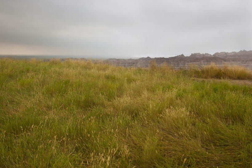 无人,公园,横图,室外,白天,正面,旅游,度假,草地,草原,美景,植物,美国,景观,旷野,云,云朵,云彩,娱乐,草,绿色,白云,自然,享受,休闲,景色,放松,北美,北美洲,国家公园,自然风光,原野,美洲,南达科他州,北亚美利加洲,亚美利加洲,南达科他,草狼之州,晴朗之州,恶土国家公园,恶地国家公园,彩图