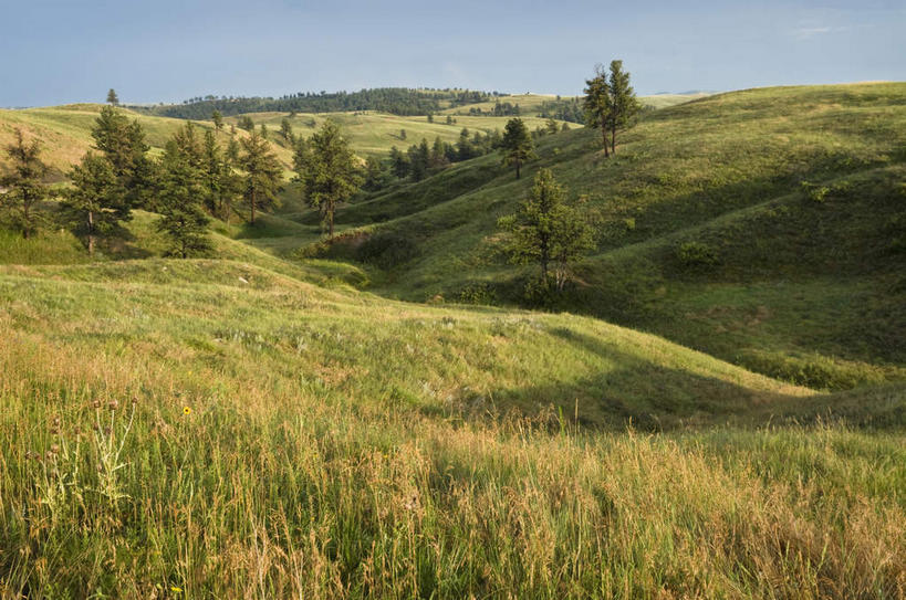 无人,横图,室外,白天,正面,旅游,度假,草地,草坪,美景,山,山脉,植物,美国,阴影,光线,影子,景观,山峰,山峦,娱乐,草,树,树木,蓝色,绿色,蓝天,天空,阳光,自然,群山,天,享受,休闲,景色,放松,生长,晴朗,成长,北美,北美洲,自然风光,美洲,万里无云,内布拉斯加州,北亚美利加洲,亚美利加洲,内布拉斯加,牛肉之州,玉米壳之州,晴空,晴空万里,彩图