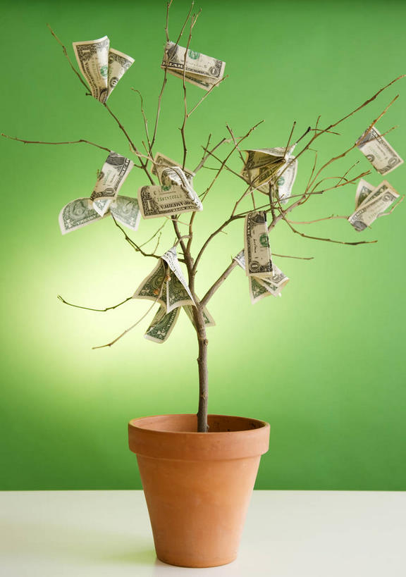 无人,竖图,室内,特写,白天,正面,钱,美元,植物,桌面,桌子,许多,吊挂,悬挂,绿色背景,阴影,反射,木制,盆栽,钱币,影子,枝条,盆景,很多,美金,挂,发财树,树,树木,树枝,绿色,自然,木制品,钞票,金融,纸币,摄影,影棚,生长,经济,成长,美圆,流通,纸钞,贸易,虬枝,枝杈,货币,现金,彩图,影棚拍摄,拍摄