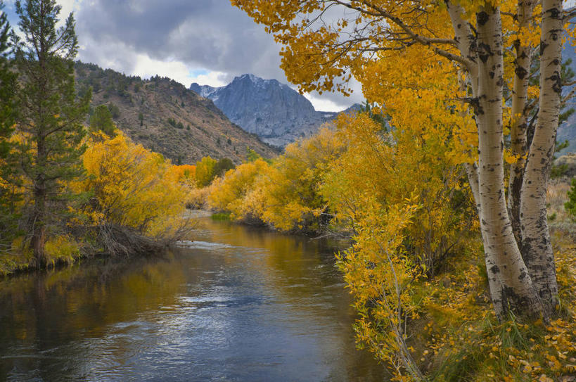无人,公园,横图,室外,白天,正面,旅游,度假,河流,美景,森林,山,山脉,树林,水,植物,尼加拉瓜,阴影,光线,影子,河水,景观,山峰,水流,云,云朵,山峦,云彩,娱乐,树,树木,蓝色,绿色,白云,蓝天,天空,阳光,自然,群山,天,享受,休闲,景色,放松,生长,晴朗,成长,北美,北美洲,国家公园,自然风光,美洲,北亚美利加洲,亚美利加洲,内华达山脉国家公园,尼加拉瓜共和国,晴空,彩图