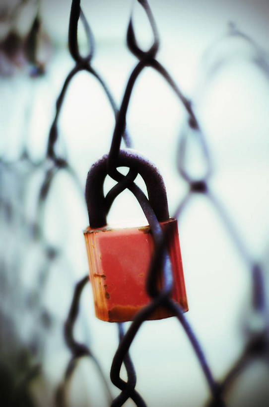 无人,竖图,室外,特写,白天,正面,安全,静物,朦胧,模糊,防护,铁丝网,锁,一个,红色,单个,保护,挂锁,保险,私密,保全,周全,安稳,安定,防盗,铁蒺藜,平安,彩图