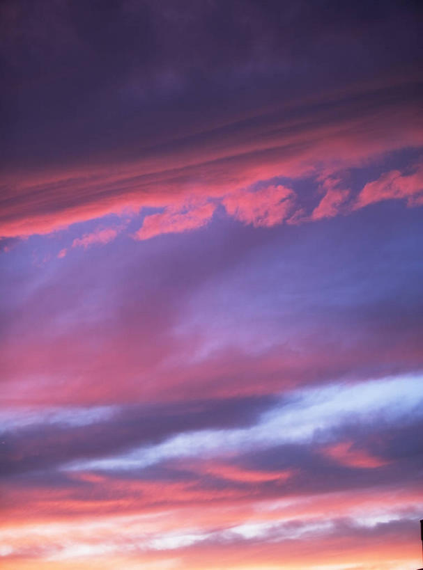 无人,竖图,室外,特写,白天,仰视,美景,日落,景观,晚霞,霞光,云,云朵,落日,云彩,白云,自然,黄昏,景色,彩霞,自然风光,夕照,薄暮,夕阳,彩图,低角度拍摄,傍晚,斜阳