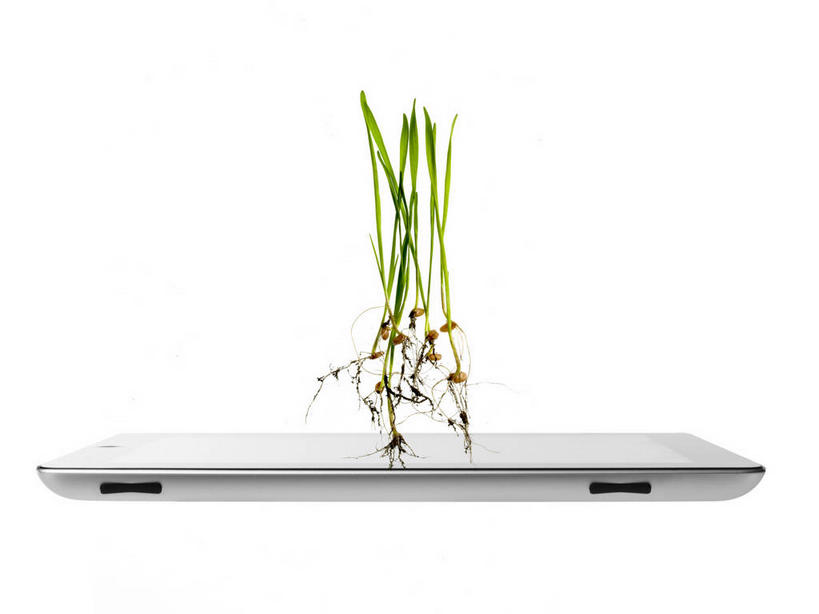 无人,横图,室内,特写,白天,白色背景,正面,电脑,笔记本电脑,草地,草坪,植物,网络,通讯设备,草,绿色,摄影,影棚,一台,无线,通信设备,无线网络,无线上网,便携式电脑,平板电脑,手提电脑,彩图,影棚拍摄,拍摄