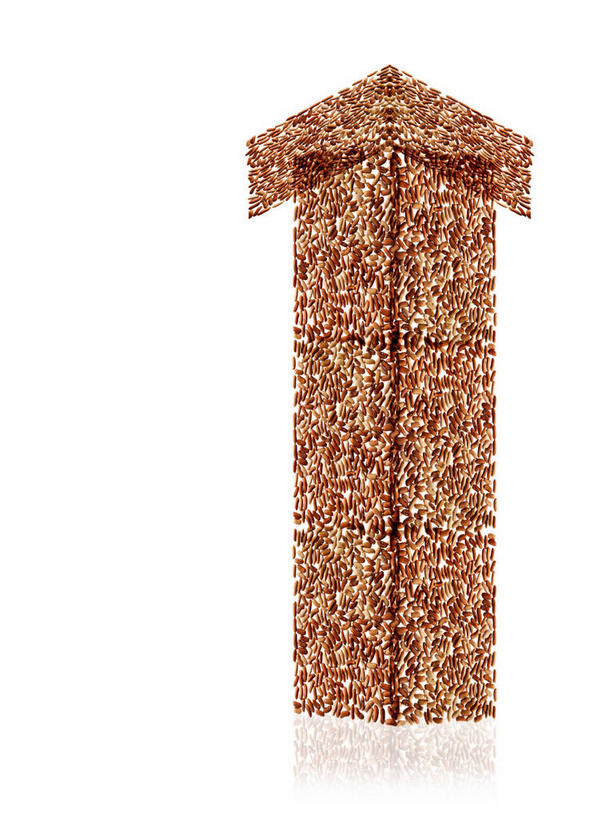 无人,竖图,俯视,室内,特写,白天,白色背景,爱情,蔬菜,许多,阴影,新鲜,反射,影子,红豆,食品,褐色,种子,相思豆,方向,箭头,食物,摄影,冬青,有机食品,绿色食品,影棚,指向,相思,簇,彩图,高角度拍摄,影棚拍摄,拍摄