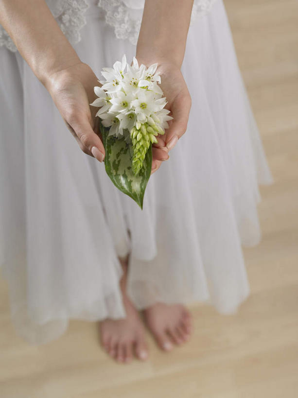 西方人,手,一个人,站,捧,竖图,俯视,室内,特写,白天,裙子,地板,叶子,欧洲,欧洲人,双手,仅一个年轻女性,仅一个女性,仅一个人,连衣裙,盛开,绿叶,地面,花蕾,木地板,花,花瓣,花朵,鲜花,白色,花苞,花蕊,站着,手部,嫩叶,虎眼万年青,海葱,葫芦兰,鸟乳花,玻璃球花,年轻女性,女人,女性,白种人,叶,叶片,端,端着,捧着,手捧,站立,半身,彩图,高角度拍摄