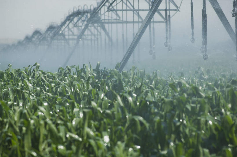 无人,农田,横图,室外,白天,正面,旅游,度假,庄稼,农作物,玉米,美景,蔬菜,美国,飞溅,朦胧,模糊,新鲜,溅,棒子,液体,景观,水滴,玉蜀黍,食品,温室,娱乐,水珠,食物,自然,享受,休闲,景色,放松,有机食品,绿色食品,设施,苞米,暖房,北美,北美洲,犹他州,防寒,喷洒,加温,自然风光,美洲,苞芦,透光,保温,洒水车,苞谷,北亚美利加洲,亚美利加洲,犹他,蜂窝之州,蜂房州,包谷,大蜀黍,番麦,薏米包,玉高粱,玉麦,珍珠米,多功能绿化洒水车,多功能喷洒车,绿化喷洒车,绿化洒水车,水罐车,园林绿化喷洒车,园林喷药车,彩图,耕地,庄稼田