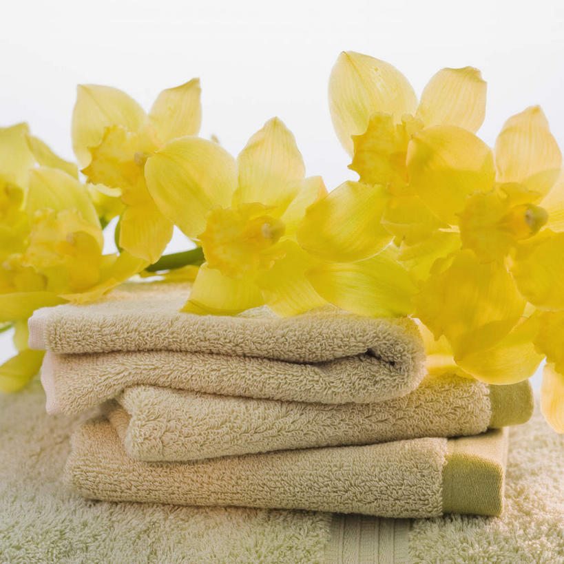 无人,方图,室内,特写,白天,白色背景,正面,盛开,纺织物,花蕾,赤素馨花,花,花瓣,花朵,鲜花,黄色,毛巾,花苞,花蕊,清洁,摄影,影棚,保暖,透气,防水,缅栀子,蛋黄花,鸡蛋花,缅栀花,储水,耐磨,吸水,大季花,印度素馨,彩图,影棚拍摄,拍摄