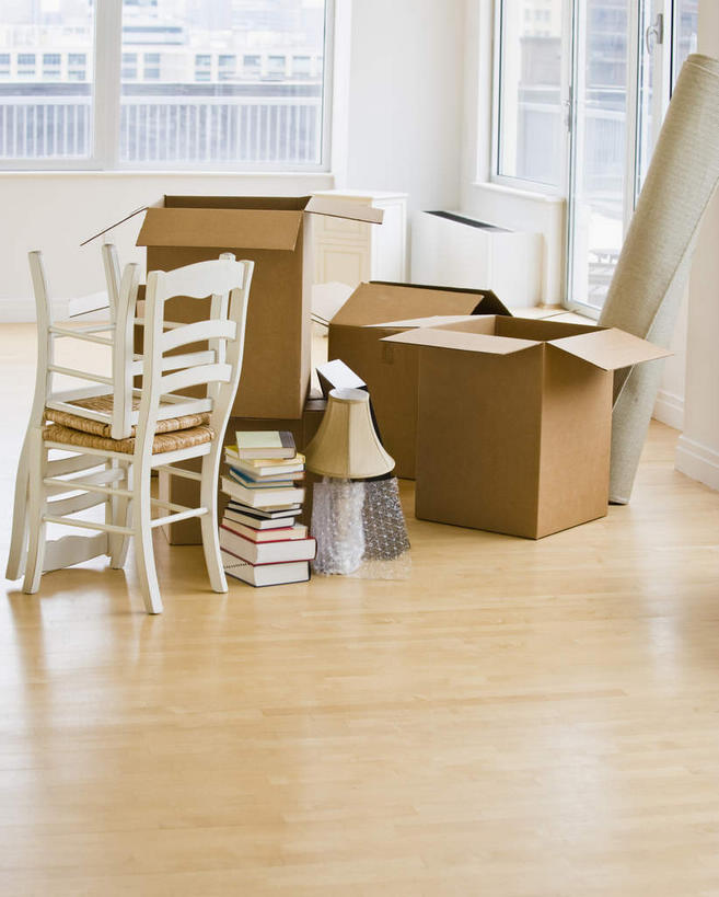 无人,竖图,室内,白天,正面,窗户,地板,书籍,一堆,许多,阴影,堆叠,堆积,反射,包装,影子,纸箱,地面,木地板,玻璃窗,容器,箱子,堆,搬家,迁移,纸板箱,包装箱,迁居,乔迁,搬迁,书,图书,彩图