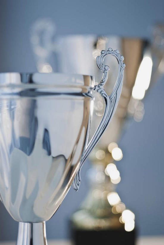 无人,竖图,室内,特写,白天,正面,成功,胜利,静物,阴影,朦胧,模糊,反射,影子,墙,墙壁,墙面,两个,灰色,光彩,荣誉,奖品,荣耀,光荣,彩图,奖杯