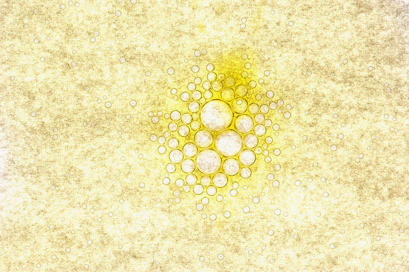 无人,横图,室内,特写,白天,正面,许多,散落,气泡,调料,食用油,油,橄榄油,调味品,调味料,黄色,泡泡,摄影,影棚,植物油,彩图,影棚拍摄,拍摄