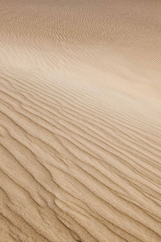 无人,公园,竖图,俯视,室外,特写,白天,旅游,度假,美景,沙漠,美国,阴影,光线,纹路,纹理,影子,景观,娱乐,黄色,阳光,自然,享受,休闲,景色,放松,北美,北美洲,国家公园,加利福尼亚,自然风光,美洲,加州,死亡谷国家公园,加利福尼亚州,金州,黄金州,肌理,北亚美利加洲,亚美利加洲,死谷,大漠,砂漠,彩图,高角度拍摄