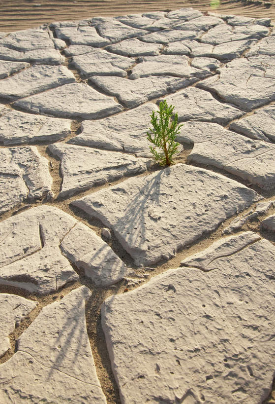 无人,公园,竖图,俯视,室外,特写,白天,旅游,度假,草地,草坪,美景,植物,美国,阴影,环保,干枯,光线,纹路,纹理,影子,景观,土地,娱乐,草,绿色,阳光,自然,享受,休闲,景色,放松,能源,回收,干涸,资源,北美,北美洲,国家公园,加利福尼亚,自然风光,美洲,利用,低碳,循环,加州,死亡谷国家公园,加利福尼亚州,金州,黄金州,肌理,北亚美利加洲,亚美利加洲,地盘,枯竭,持续,死谷,地皮,彩图,高角度拍摄