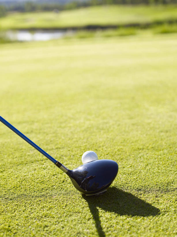 无人,竖图,室外,特写,白天,正面,草地,草坪,植物,美国,阴影,光线,高尔夫,高尔夫球,影子,球场,高尔夫球场,草,绿色,阳光,北美,高尔夫球杆,北美洲,美洲,绿茵场,高尔夫运动,高尔夫球具,科罗拉多州,科罗拉多,北亚美利加洲,亚美利加洲,百年州,彩图