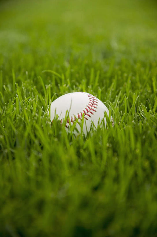 无人,竖图,俯视,室外,特写,白天,锻炼,运动,棒球,垒球,草地,草坪,植物,新鲜,球,草,一个,绿色,单个,青春,生命,和平,安详,冷色,体育,彩图,高角度拍摄,健身