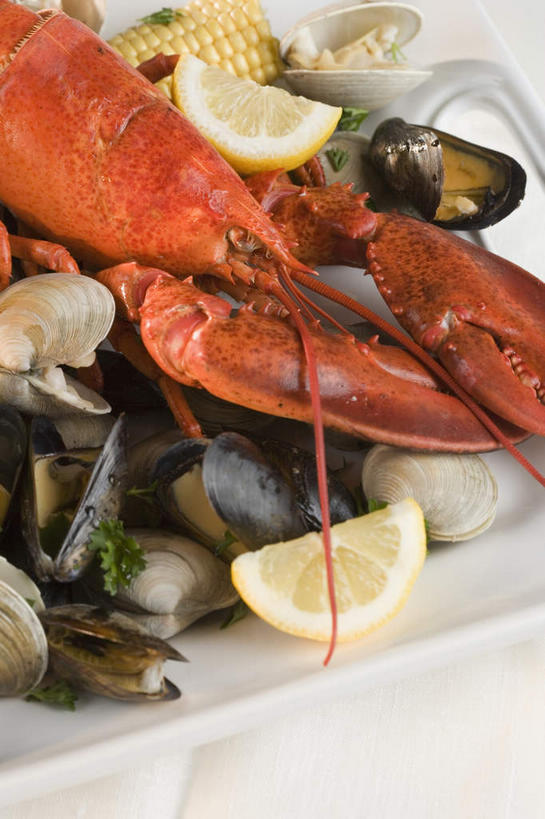 海鲜,龙虾,无人,竖图,俯视,室内,特写,白天,玉米,餐桌,桌子,柠檬,蔬菜,贝壳,餐具,水果,许多,新鲜,棒子,碟子,盘,玉蜀黍,生食,虾,食品,果实,蔬果,水产,海洋生物,食物,一只,红色,盘子,碟,有机食品,绿色食品,餐台,苞米,水生动物,海产品,贻贝,苞芦,水生物,海底动物,苞谷,包谷,大蜀黍,番麦,薏米包,玉高粱,玉麦,珍珠米,海虹,淡菜,壳菜,青口,益母果,柠果,半身,彩图,高角度拍摄,波士顿龙虾