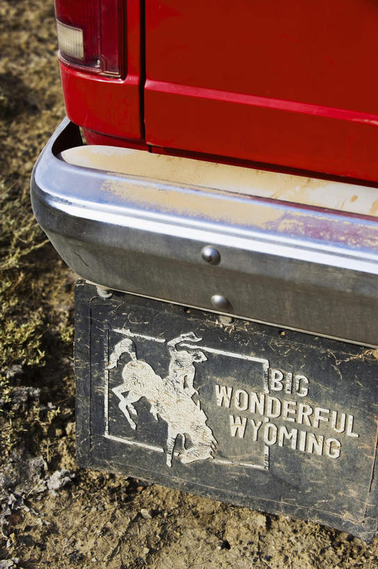 无人,竖图,俯视,室外,特写,白天,安全,汽车,静物,泥土,防护,车,红色,交通工具,轿车,保护,载具,保险,保全,周全,安稳,安定,平安,彩图,高角度拍摄,汽车保险杠,保险杠