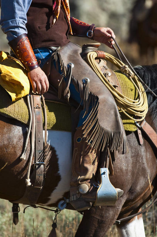 西方人,一个人,坐,竖图,室外,白天,侧面,草地,草原,草坪,植物,马,野生动物,鞋子,金属制品,欧洲,欧洲人,仅一个男性,仅一个人,握,裤子,枯萎,金属,荒野,旷野,热带,皮革,靴子,踩,一匹,草,仅一个年轻男性,动物,绳子,踩着,握着,运输,牲畜,绳索,死亡,原野,牛仔靴,荒原,套索,皮套裤,马具,马镫,枯败,男人,男性,年轻男性,白种人,坐着,半身,彩图,皮护腿套裤