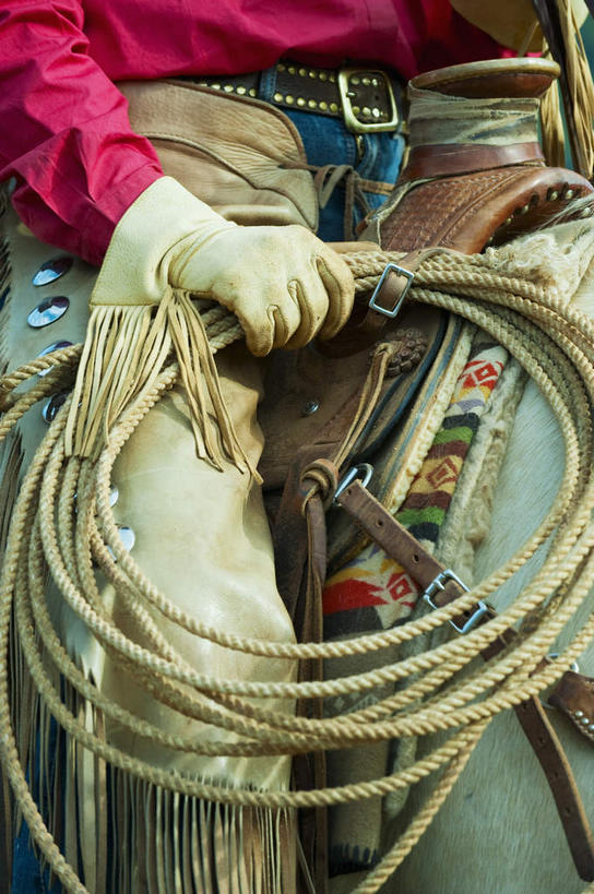 西方人,一个人,坐,竖图,室外,特写,白天,正面,安全,马,野生动物,欧洲,欧洲人,仅一个男性,仅一个人,握,裤子,防护,皮革,拿,拿着,座位,马鞍,仅一个年轻男性,动物,绳子,手套,握着,运输,牲畜,保护,绳索,保险,套索,皮套裤,保全,周全,安稳,安定,防护手套,马具,平安,男人,男性,年轻男性,白种人,坐着,半身,彩图,皮护腿套裤