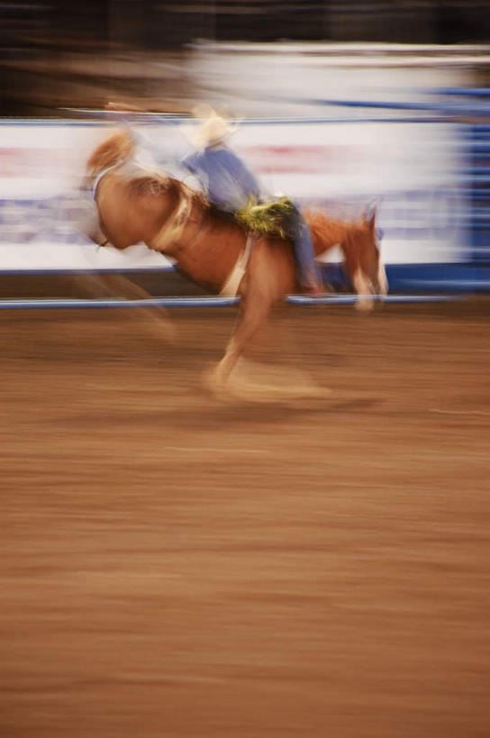 西方人,一个人,运动员,体育馆,栏杆,运动场,坐,拉,竖图,室外,白天,侧面,运动服,锻炼,旅游,度假,运动,沙滩,马,野生动物,帽子,欧洲,欧洲人,仅一个男性,仅一个人,奔驰,服装,朦胧,模糊,沙子,围栏,沙地,注视,娱乐,体育场,护栏,一匹,仅一个年轻男性,衣服,动物,遮阳帽,奔跑,观察,看,享受,休闲,放松,运输,服饰,牲畜,观看,察看,衣着,穿着,关注,室外运动,户外运动,赛马场,运动馆,衣饰,跑马,赛马,男人,男性,年轻男性,白种人,体育运动员,运动选手,坐着,彩图,全身,健身,运动装