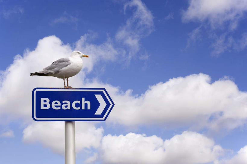 无人,横图,室外,白天,仰视,度假,美景,沙滩,指示牌,海鸟,海鸥,鸟,阴影,光线,英文,鸟类,标志,路标,文字,影子,字符,字母,景观,云,云朵,云彩,方向,娱乐,标识,路牌,箭头,一只,蓝色,白云,蓝天,天空,阳光,天,享受,休闲,景色,放松,晴朗,英文字母,指向,簇,停驻,海滩,晴空,彩图,低角度拍摄,全身