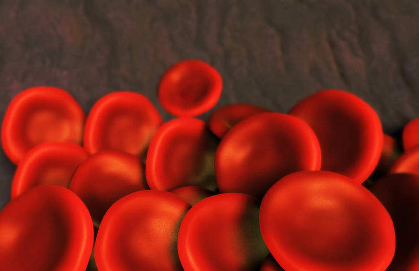 无人,横图,插画,室内,特写,白天,正面,数码,科技,静物,阴影,黑色背景,网络,医学,细胞,高光,几何,计算机图形,合成,图画,画,红色,血液,人体,电脑合成图,数码合成图,生物学,心血管系统,血细胞,漫画,生理学,写实,具体,具象,红细胞,T淋巴细胞,彩图