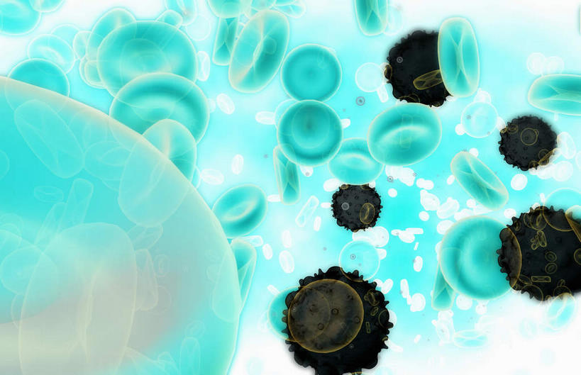 无人,横图,插画,室内,特写,白天,白色背景,正面,数码,科技,静物,阴影,网络,细菌,医学,细胞,高光,几何,计算机图形,合成,图画,画,绿色,黑色,血液,人体,电脑合成图,数码合成图,生物学,血细胞,漫画,白细胞,生理学,写实,具体,具象,红细胞,彩图