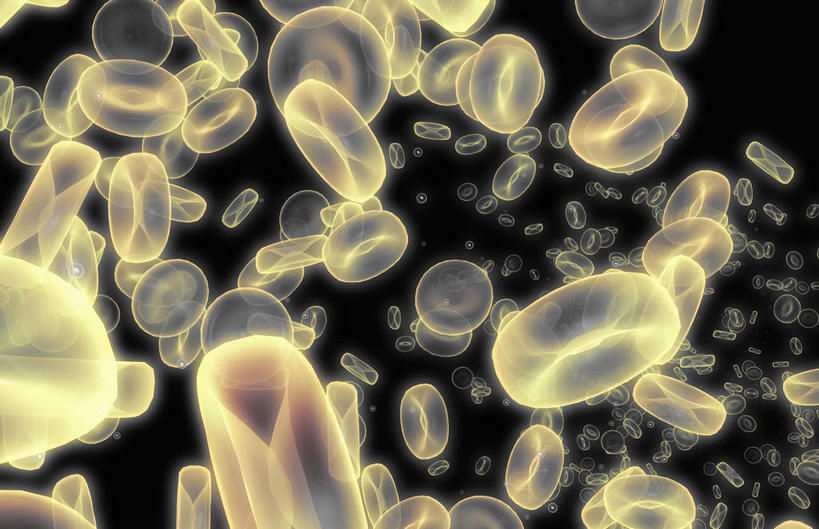 无人,横图,插画,室内,特写,白天,正面,数码,科技,静物,阴影,黑色背景,透明,网络,医学,细胞,高光,几何,计算机图形,合成,图画,画,绿色,血液,人体,电脑合成图,数码合成图,生物学,血细胞,漫画,白细胞,生理学,写实,具体,具象,红细胞,彩图