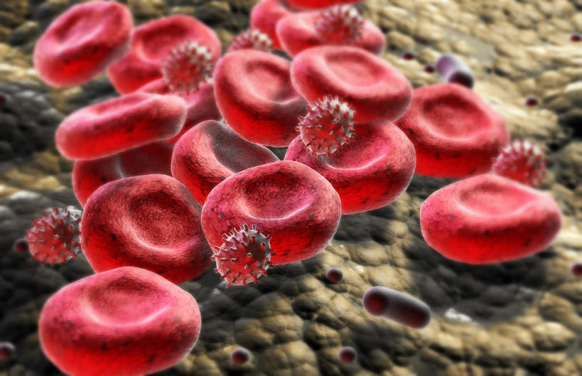 无人,横图,插画,室内,特写,白天,正面,数码,科技,静物,许多,阴影,网络,医学,细胞,高光,几何,计算机图形,合成,图画,画,红色,球体,血液,人体,电脑合成图,数码合成图,生物学,心血管系统,漫画,生理学,写实,具体,具象,红细胞,T淋巴细胞,彩图