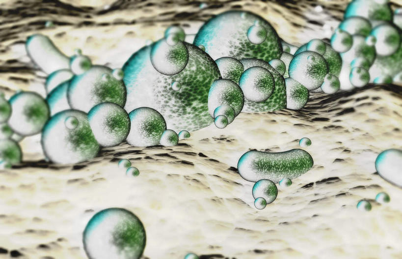 无人,横图,插画,室内,特写,白天,正面,数码,科技,静物,许多,阴影,网络,医学,细胞,高光,几何,计算机图形,合成,图画,画,绿色,球体,人体,药物,电脑合成图,数码合成图,生物学,乳液,漫画,生理学,写实,具体,具象,彩图