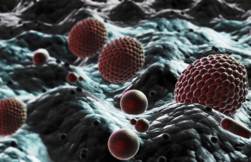 无人,横图,插画,室内,特写,白天,正面,数码,科技,静物,阴影,网络,医学,颗粒,细胞,高光,几何,计算机图形,合成,图画,画,红色,球体,人体,电脑合成图,数码合成图,生物学,漫画,花粉,过敏,生理学,写实,具体,具象,过敏反应,彩图,花粉粒