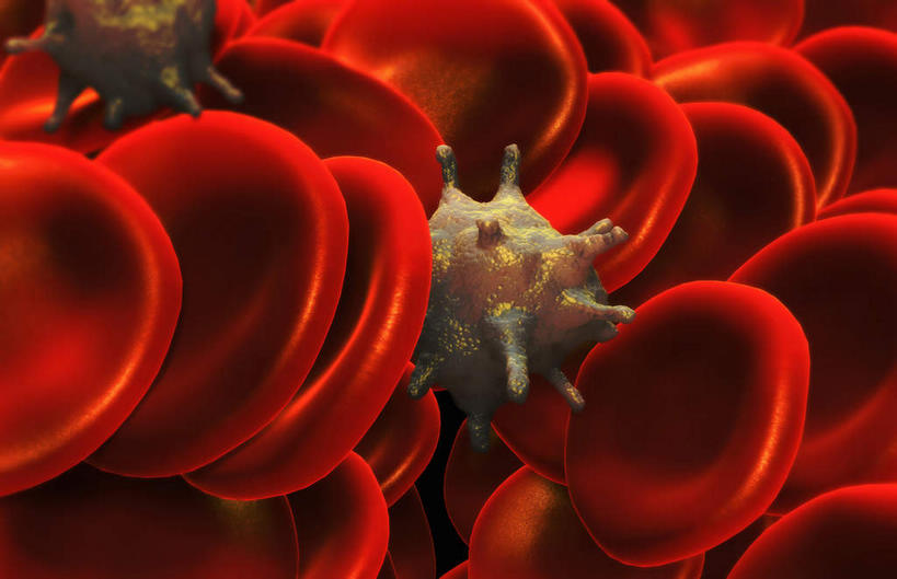 无人,横图,插画,室内,特写,白天,正面,数码,科技,静物,阴影,网络,医学,细胞,高光,几何,计算机图形,合成,图画,画,红色,血液,人体,电脑合成图,数码合成图,生物学,心血管系统,血小板,漫画,生理学,写实,具体,具象,红细胞,彩图