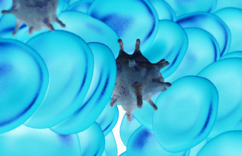 无人,横图,插画,室内,特写,白天,正面,数码,科技,静物,阴影,网络,医学,细胞,高光,几何,计算机图形,合成,图画,画,蓝色,血液,人体,电脑合成图,数码合成图,生物学,心血管系统,血小板,漫画,生理学,写实,具体,具象,红细胞,彩图