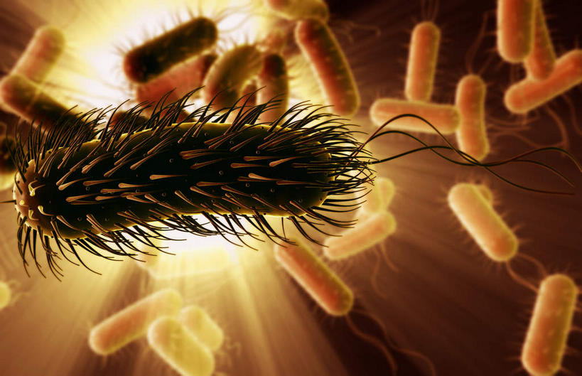 无人,横图,插画,室内,白天,正面,数码,科技,静物,阴影,网络,细菌,医学,高光,几何,计算机图形,合成,图画,画,黄色,生物,人体,刺眼,耀眼,电脑合成图,数码合成图,医疗,生物学,漫画,生理学,写实,具体,具象,鞭毛,彩图,原核生物,夺目