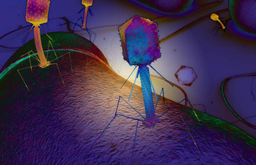 无人,横图,插画,室内,白天,正面,数码,科技,静物,阴影,网络,医学,高光,几何,计算机图形,合成,图画,画,蓝色,紫色,生物,人体,电脑合成图,数码合成图,医疗,生物学,漫画,生理学,写实,具体,具象,DNA病毒,彩图