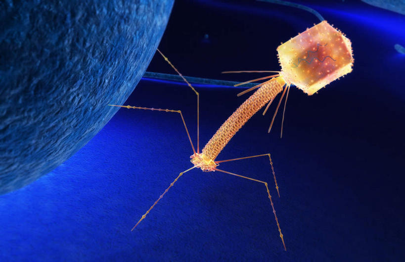 无人,横图,插画,室内,白天,正面,数码,科技,静物,阴影,网络,医学,高光,几何,计算机图形,合成,图画,画,黄色,蓝色,生物,人体,电脑合成图,数码合成图,医疗,生物学,漫画,生理学,写实,具体,具象,DNA病毒,彩图