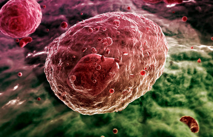 无人,横图,插画,室内,白天,正面,数码,科技,静物,阴影,网络,医学,高光,几何,计算机图形,合成,图画,画,红色,绿色,生物,人体,电脑合成图,数码合成图,医疗,生物学,血小板,漫画,生理学,写实,具体,具象,免疫系统,彩图,感染