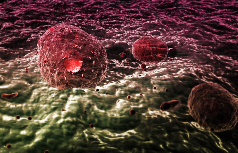 无人,横图,插画,室内,白天,正面,数码,科技,静物,阴影,网络,医学,高光,几何,计算机图形,合成,图画,画,红色,绿色,生物,人体,电脑合成图,数码合成图,医疗,生物学,血小板,漫画,生理学,写实,具体,具象,免疫系统,彩图,感染