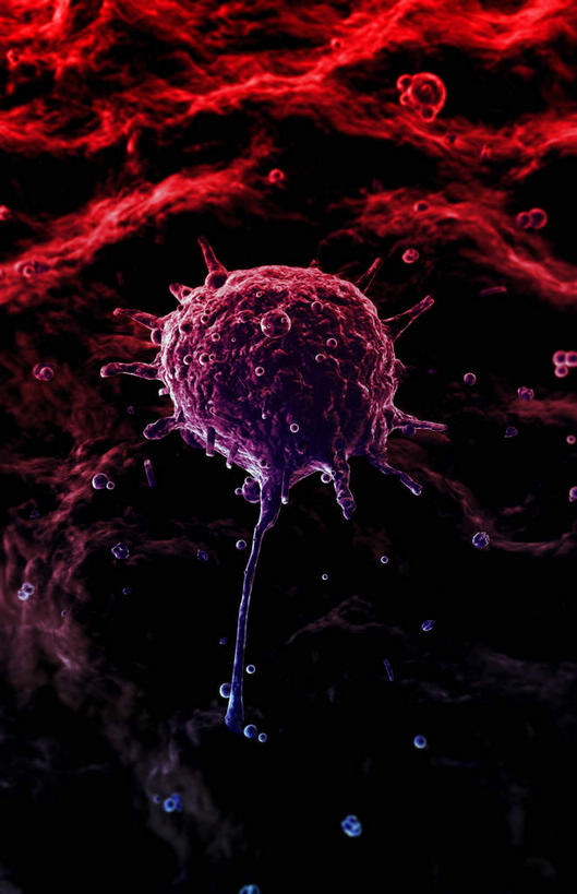 无人,竖图,插画,室内,白天,正面,数码,科技,微生物,静物,阴影,网络,医学,细胞,高光,几何,计算机图形,合成,图画,画,红色,生物,人体,电脑合成图,数码合成图,医疗,生物学,血细胞,蛋白质,漫画,生理学,写实,具体,具象,寄生,生命体,吞噬细胞,彩图