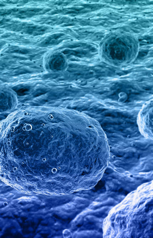 无人,竖图,插画,室内,白天,正面,数码,科技,微生物,静物,阴影,网络,医学,细胞,高光,几何,计算机图形,合成,图画,画,蓝色,生物,人体,电脑合成图,数码合成图,医疗,生物学,血小板,漫画,生理学,写实,具体,具象,寄生,生命体,巨核细胞,彩图