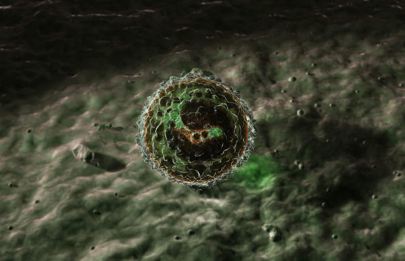 无人,横图,插画,室内,白天,正面,数码,科技,微生物,静物,阴影,网络,医学,细胞,高光,几何,计算机图形,合成,图画,画,生物,人体,电脑合成图,数码合成图,医疗,生物学,漫画,生理学,写实,具体,具象,T淋巴细胞,T细胞,淋巴细胞,生命体,彩图