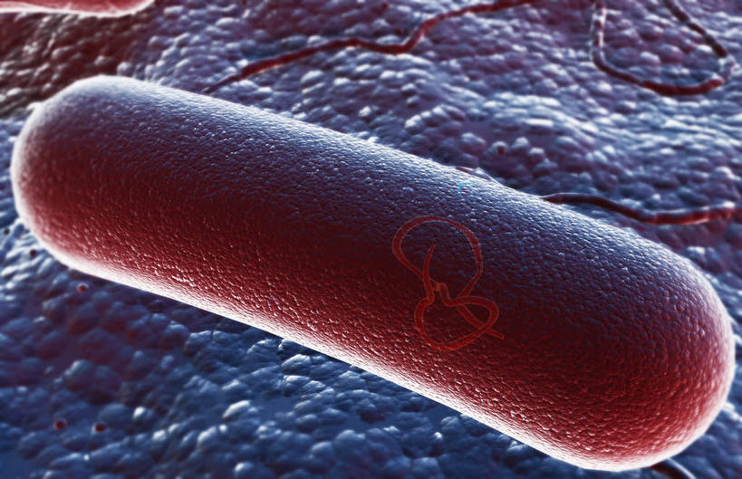 无人,横图,插画,室内,白天,正面,数码,科技,静物,阴影,网络,细菌,医学,高光,几何,计算机图形,合成,图画,画,红色,生物,人体,电脑合成图,数码合成图,医疗,生物学,漫画,生理学,写实,具体,具象,无性生殖,细胞分裂,有丝分裂,彩图