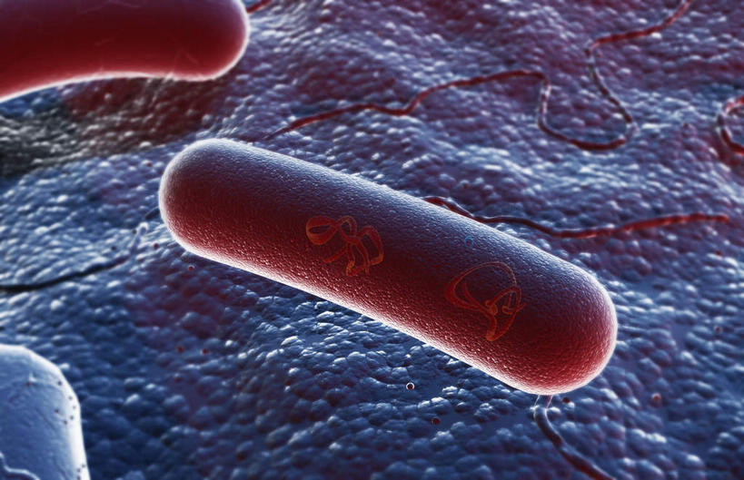 无人,横图,插画,室内,白天,正面,数码,科技,静物,阴影,网络,细菌,医学,高光,几何,计算机图形,合成,图画,画,红色,生物,人体,电脑合成图,数码合成图,医疗,生物学,漫画,生理学,写实,具体,具象,无性生殖,细胞分裂,有丝分裂,彩图