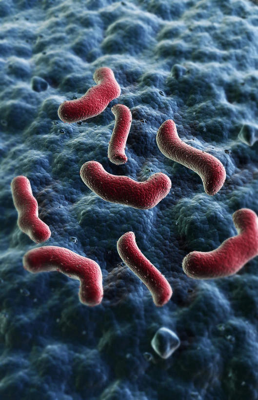 无人,竖图,插画,室内,白天,正面,数码,科技,静物,阴影,发光,网络,细菌,医学,高光,几何,计算机图形,合成,图画,画,红色,灰色,生物,人体,刺眼,耀眼,电脑合成图,数码合成图,医疗,生物学,漫画,生理学,写实,具体,具象,内腔,彩图,夺目