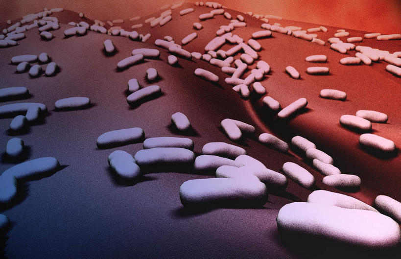 无人,横图,插画,室内,白天,正面,数码,科技,微生物,阴影,网络,细菌,医学,高光,几何,计算机图形,合成,图画,画,生物,电脑合成图,数码合成图,医疗,生物学,漫画,写实,具体,具象,寄生,生命体,蜡样芽孢杆菌,破伤风杆菌,肉毒杆菌,彩图