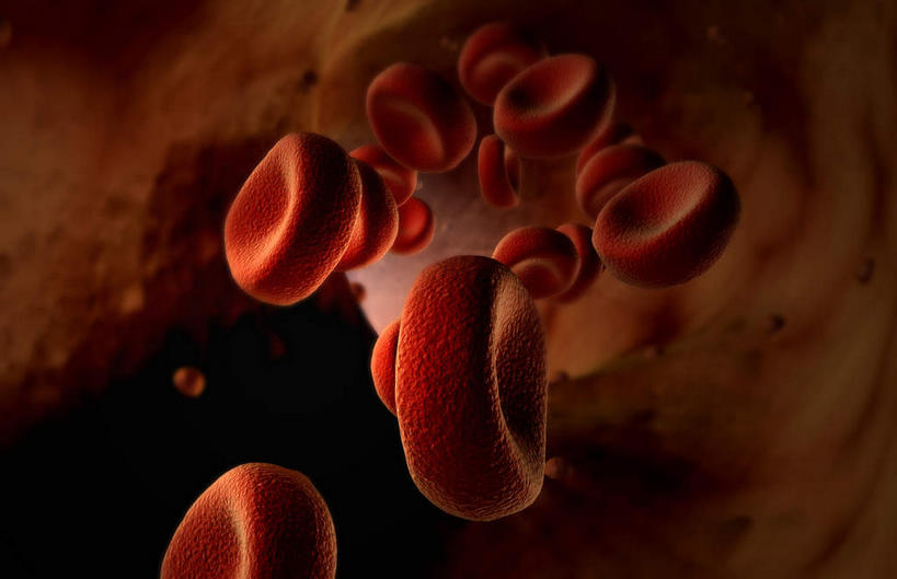 无人,横图,插画,室内,白天,正面,数码,科技,微生物,静物,阴影,黑色背景,发光,网络,血球,医学,高光,几何,计算机图形,合成,图画,画,红色,白色,生物,人体,电脑合成图,数码合成图,医疗,生物学,血细胞,血小板,漫画,生理学,写实,具体,具象,红细胞,寄生,生命体,彩图